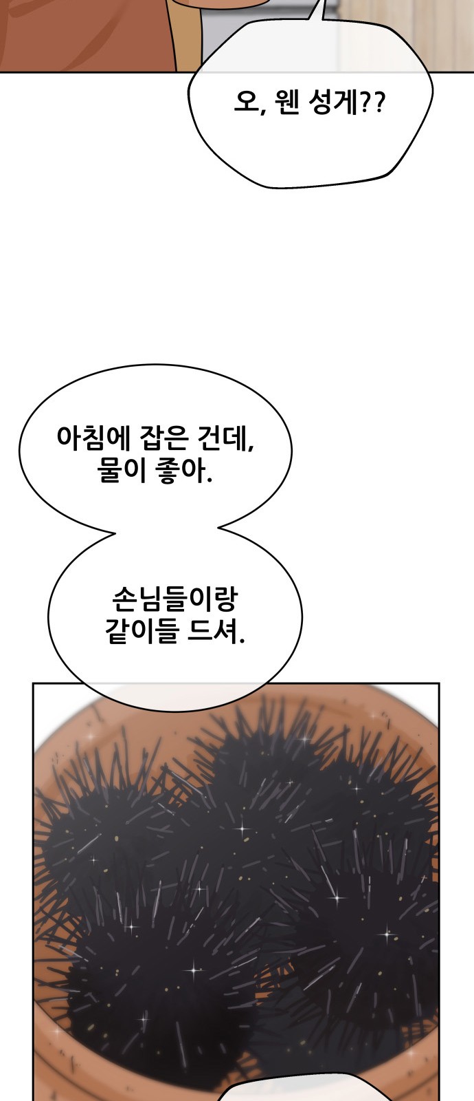 66 페이지