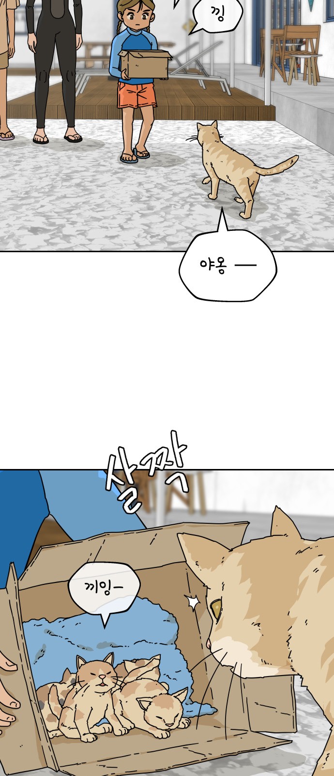 59 페이지