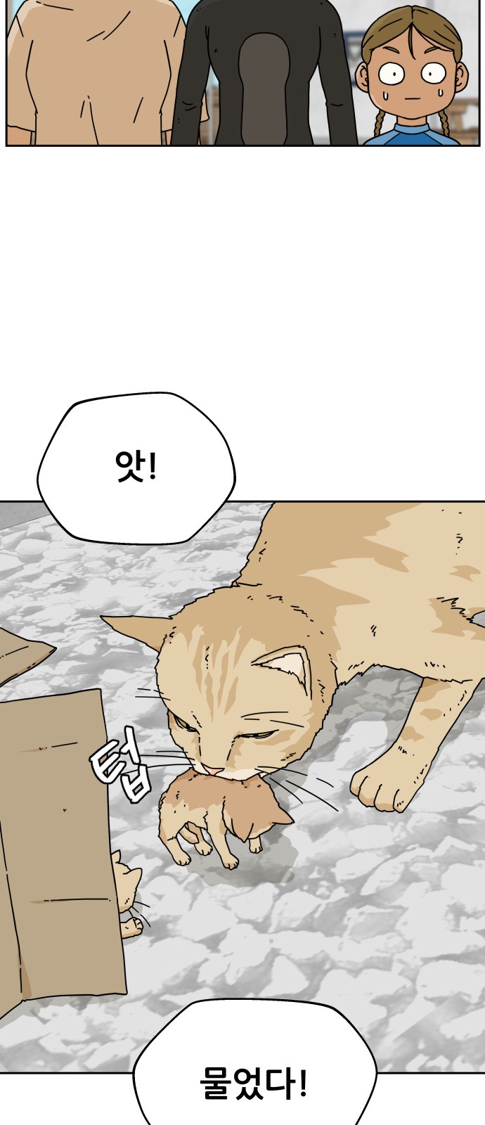 61 페이지