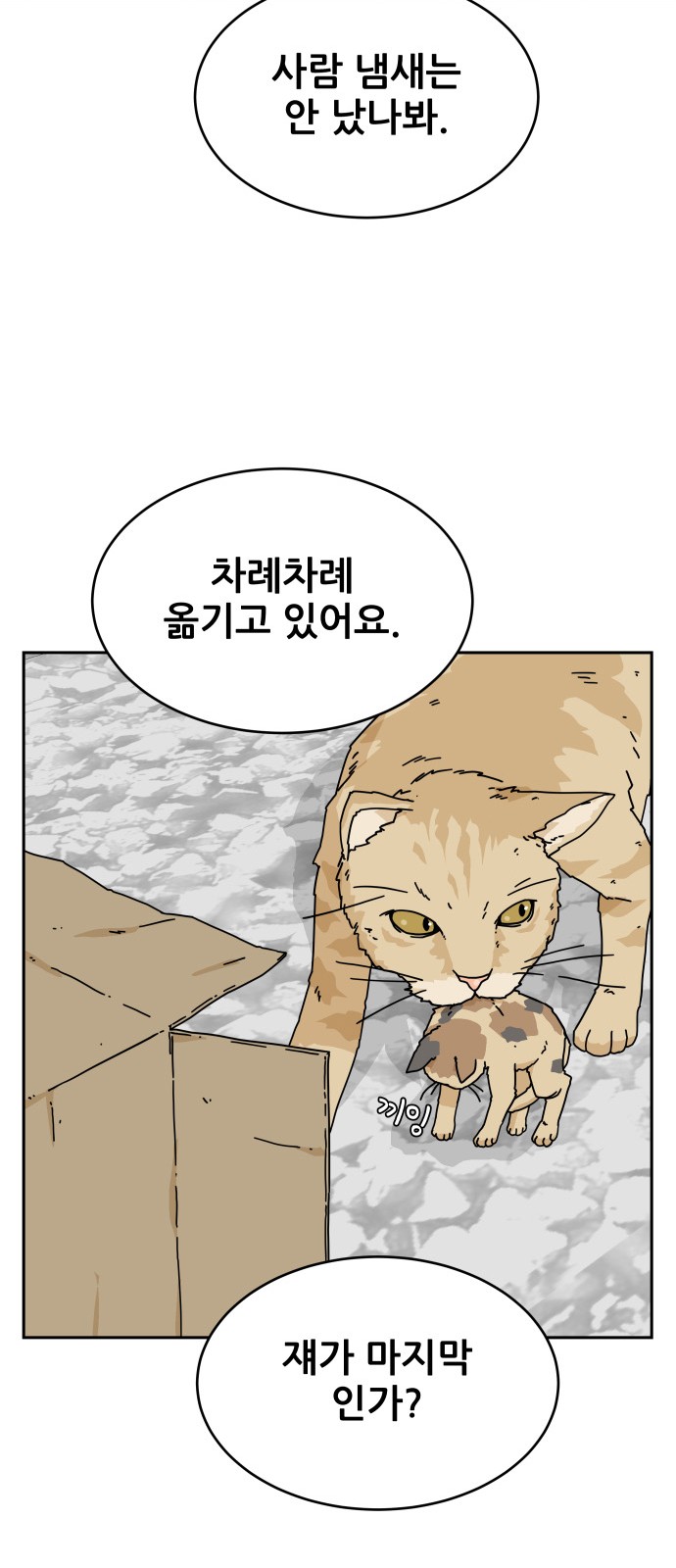 63 페이지