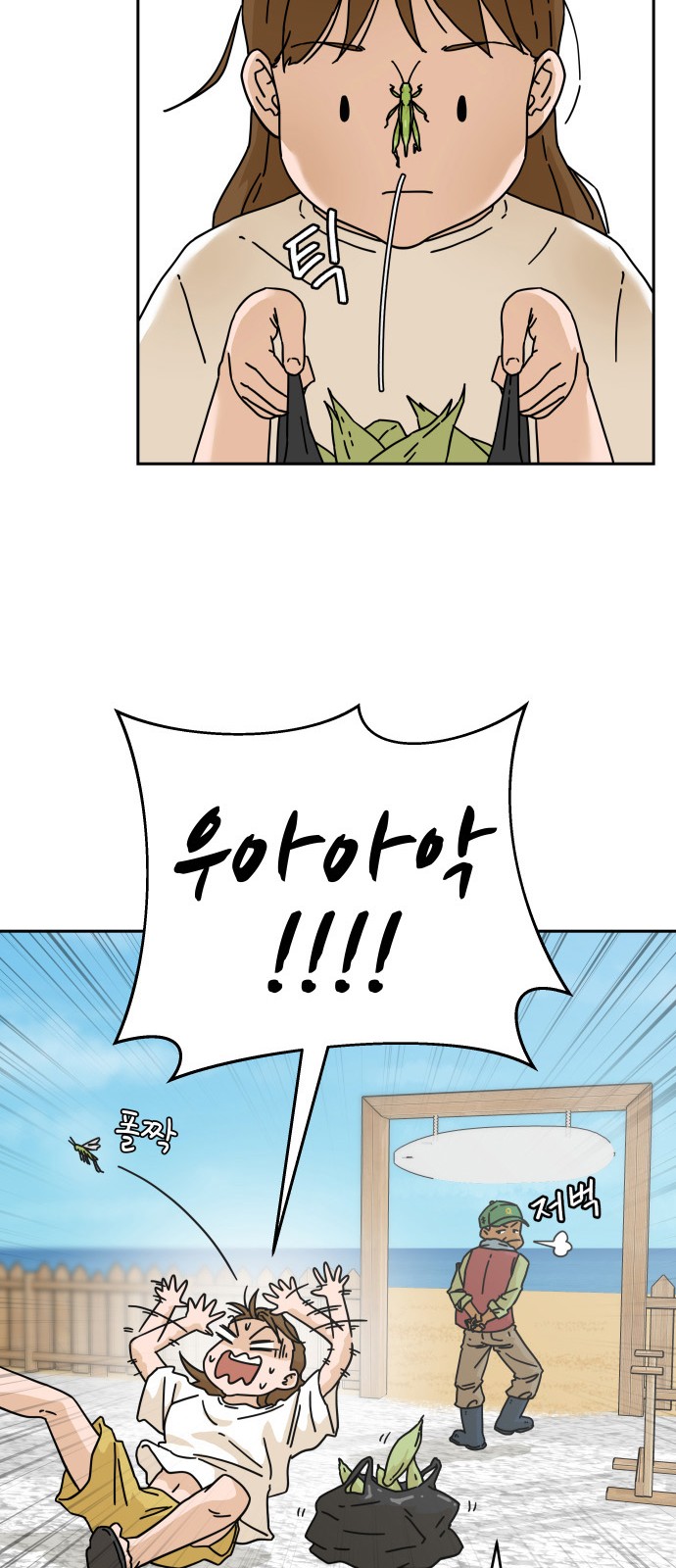 17 페이지