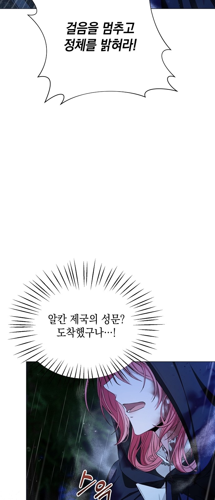 100 페이지