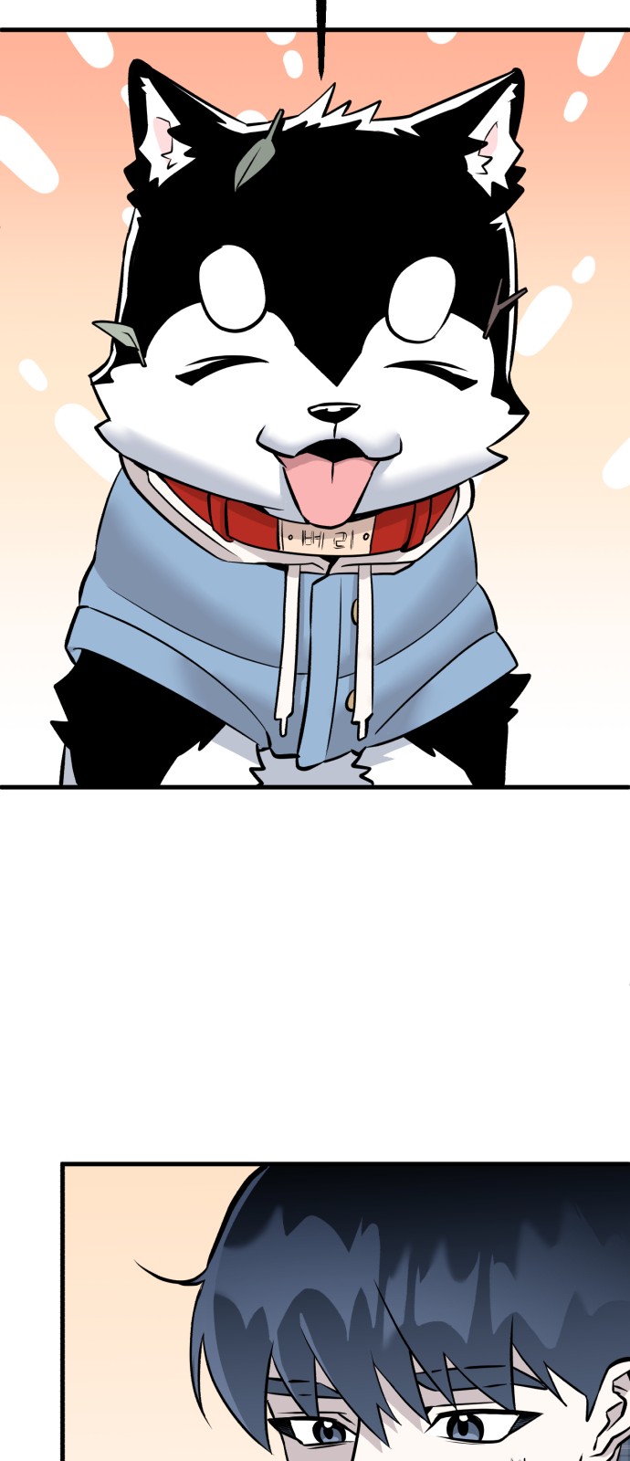 47 페이지