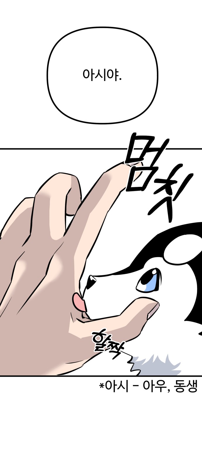 66 페이지