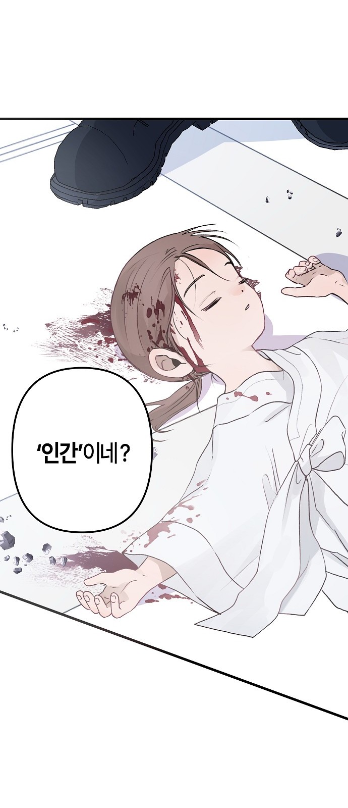 66 페이지