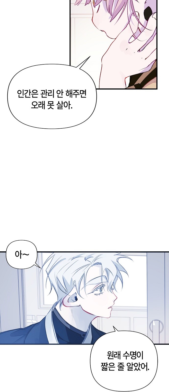 20 페이지