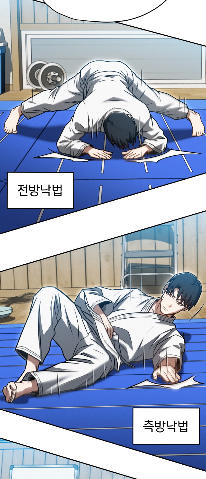 46 페이지