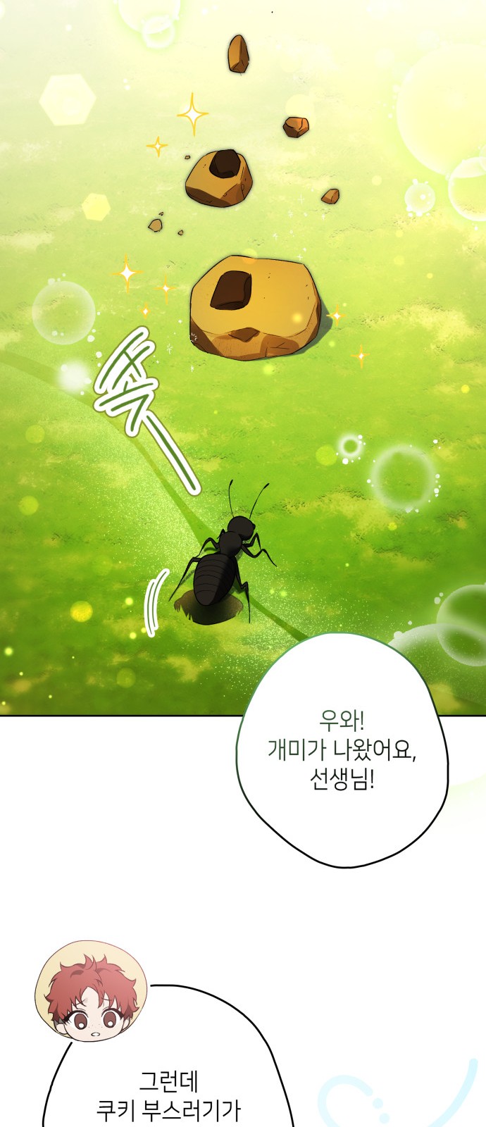17 페이지