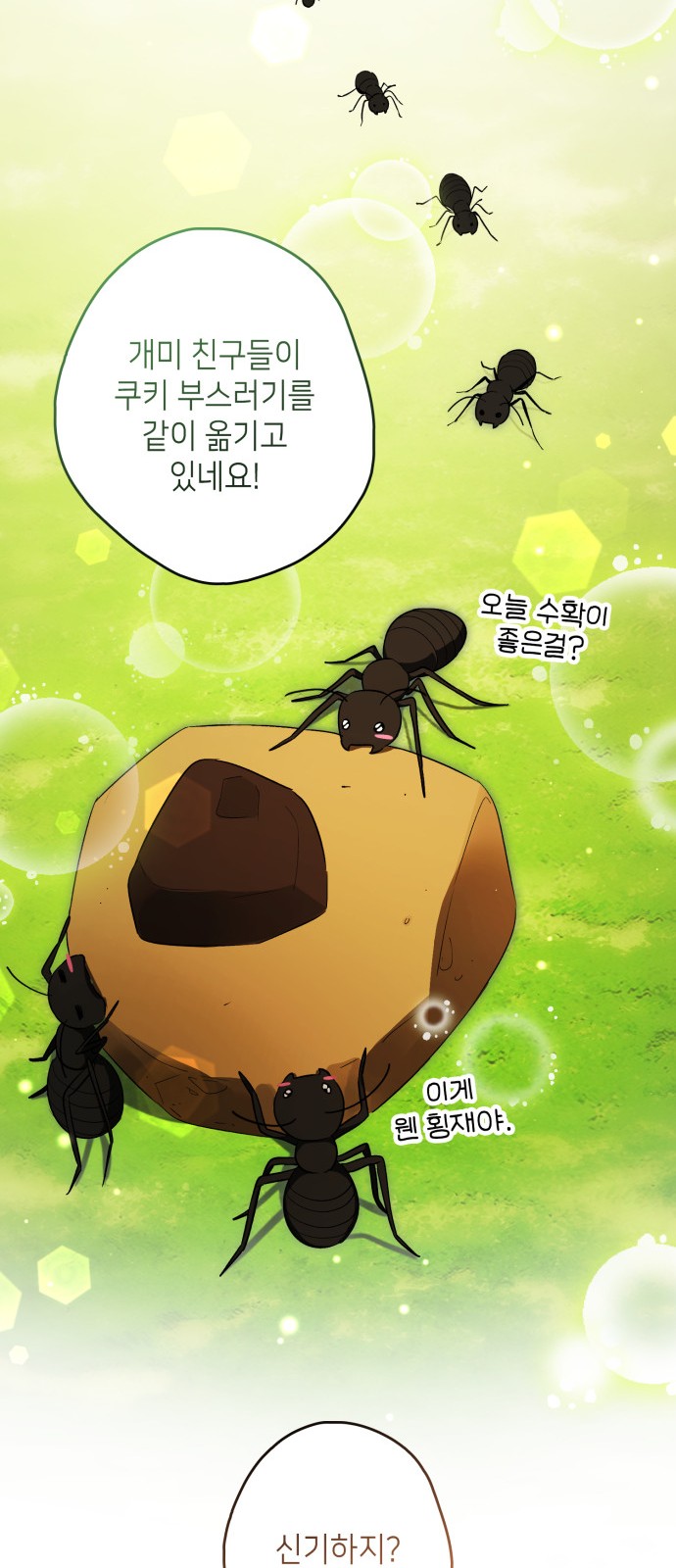 20 페이지