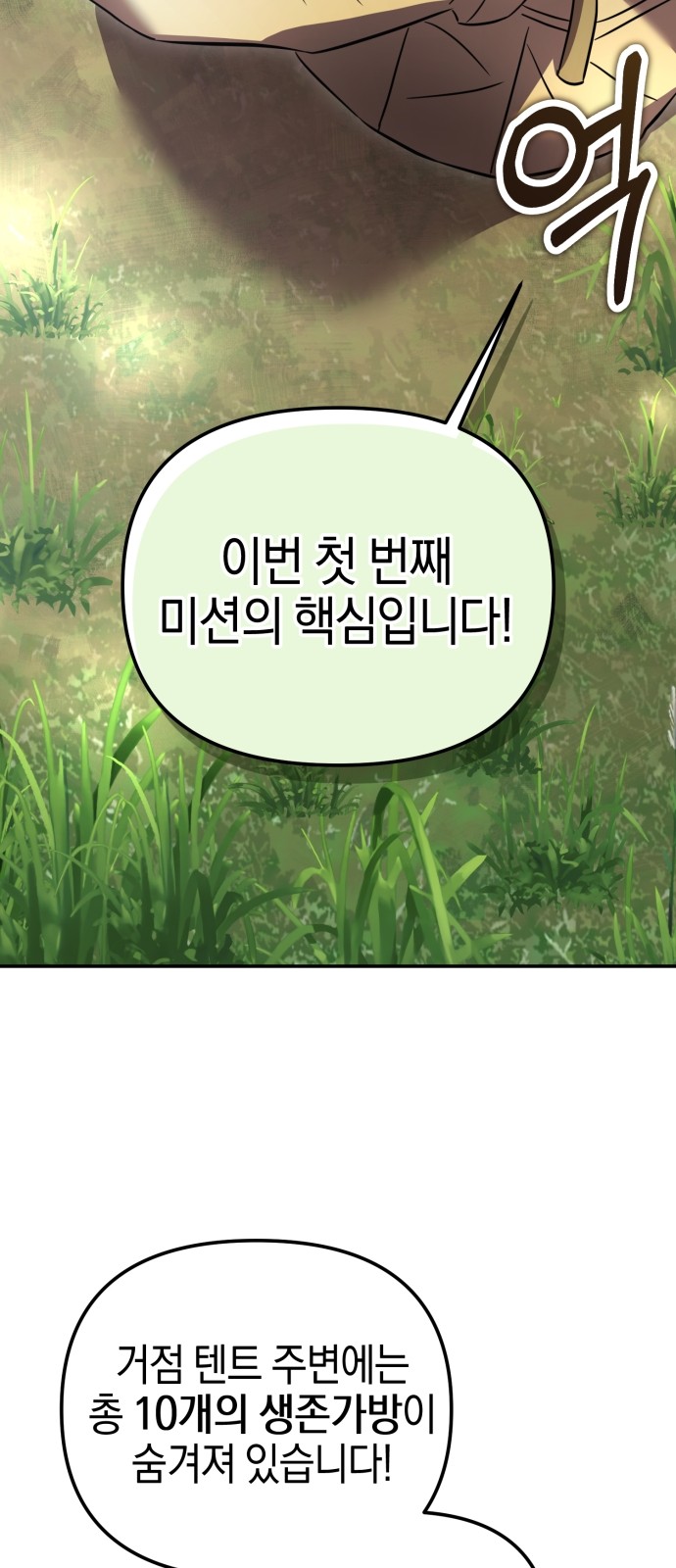 52 페이지