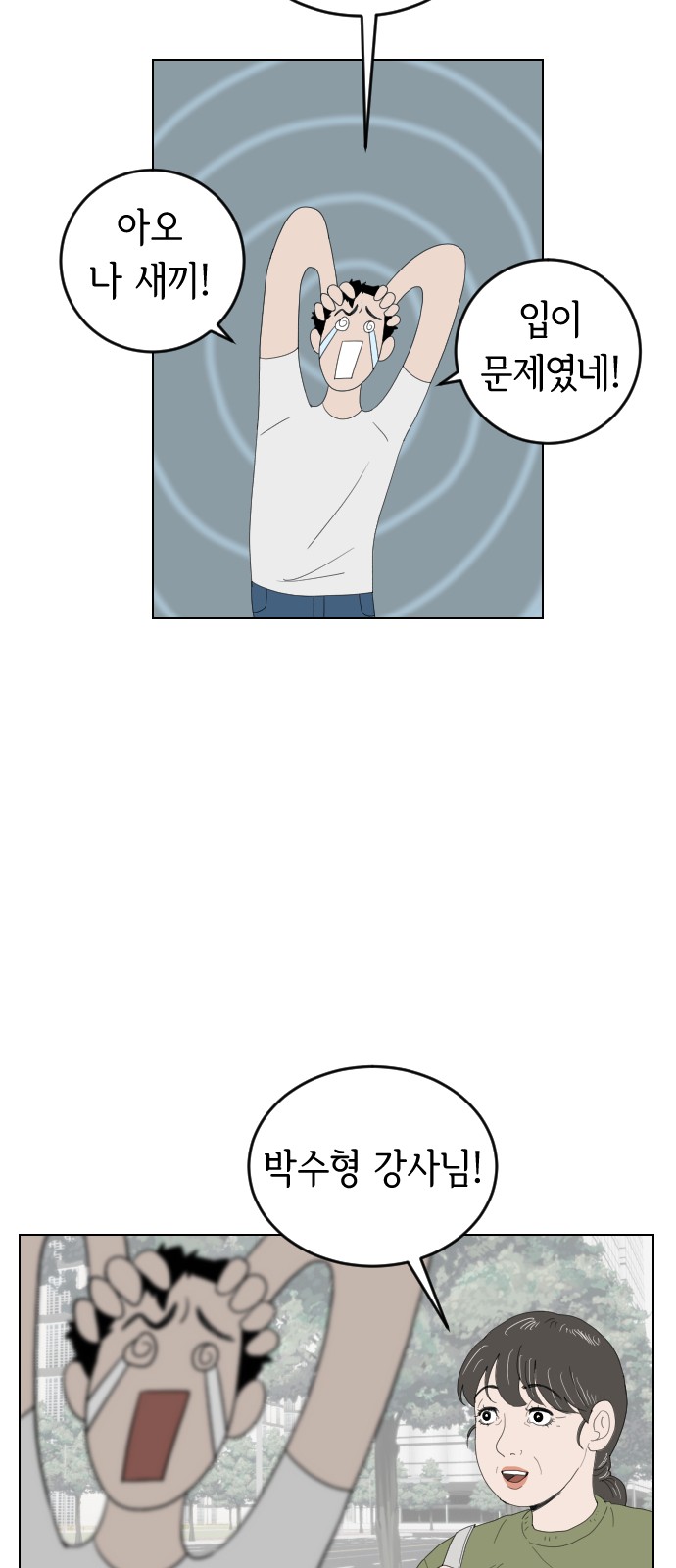 13 페이지