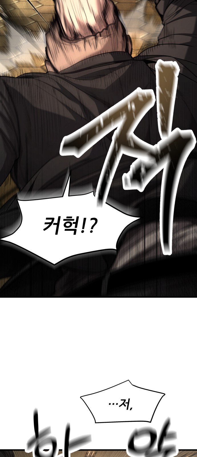 113 페이지