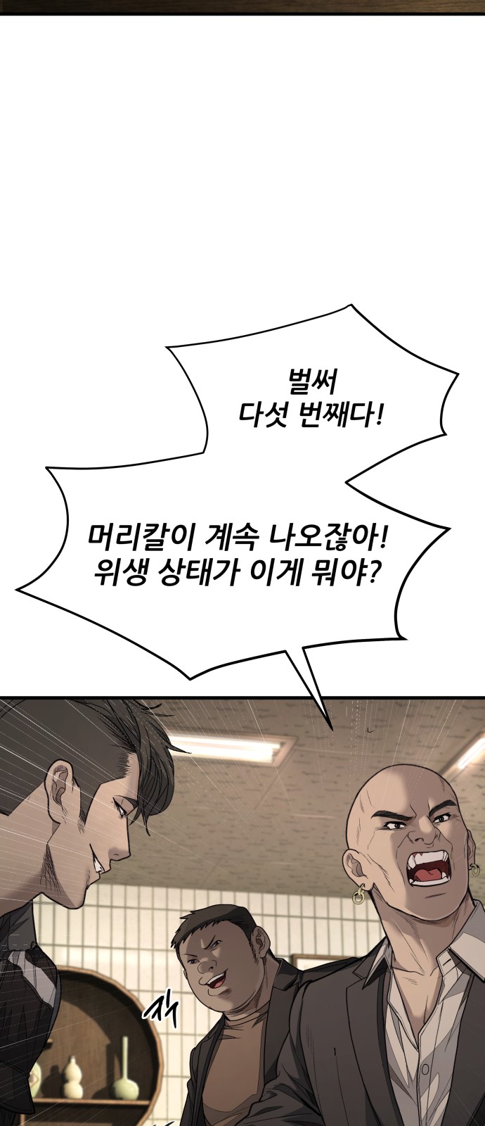 66 페이지
