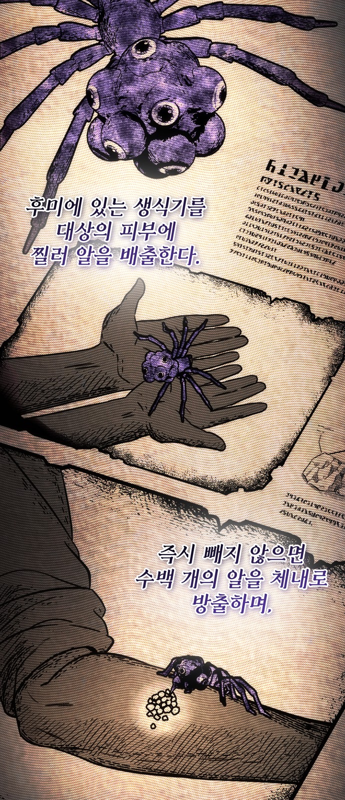 47 페이지