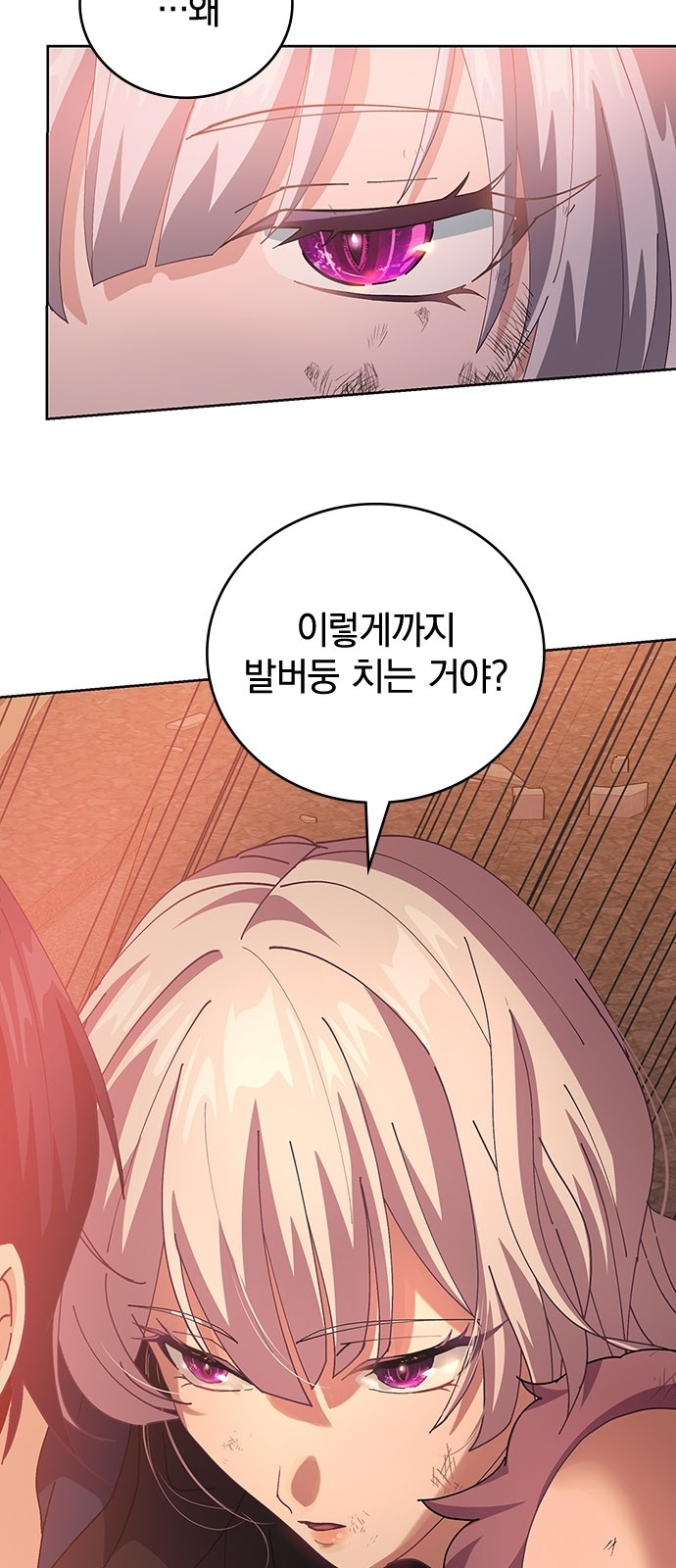 114 페이지