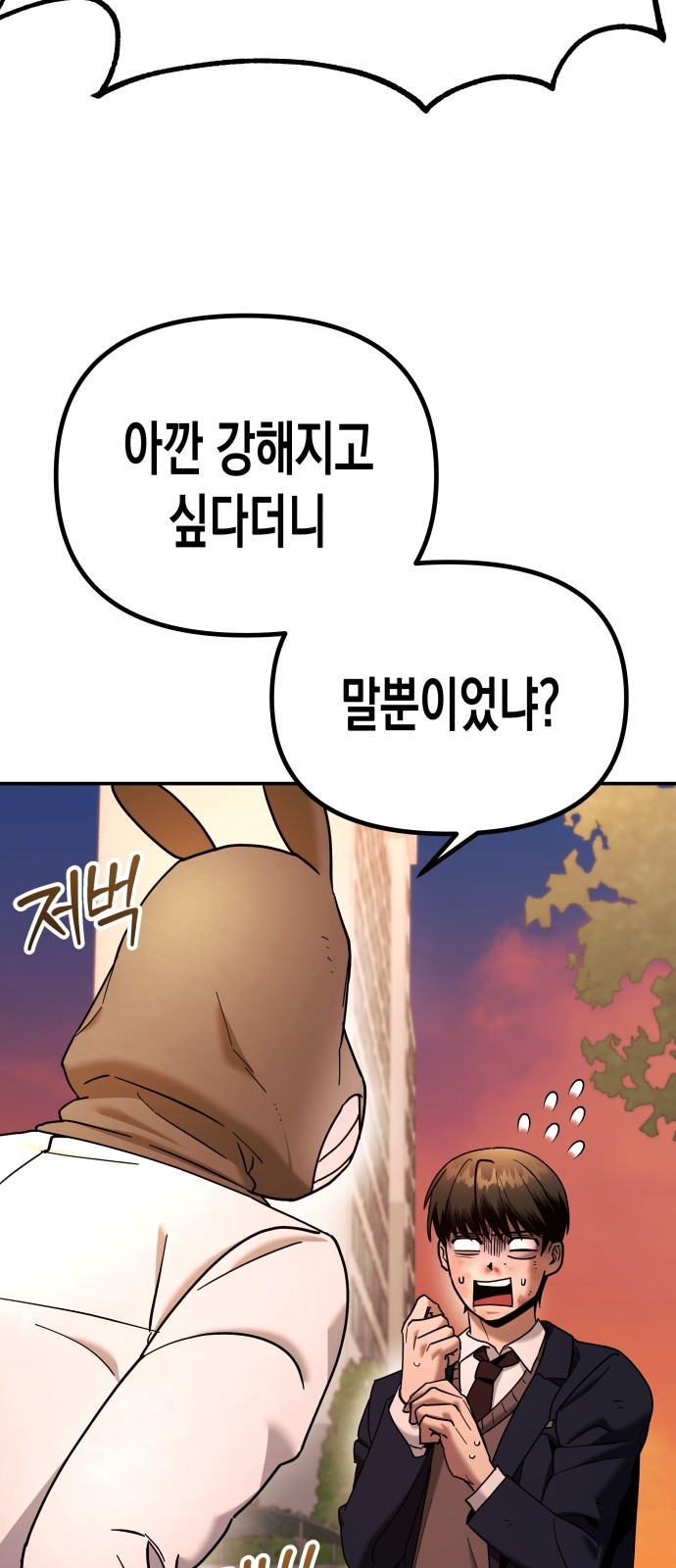 216 페이지