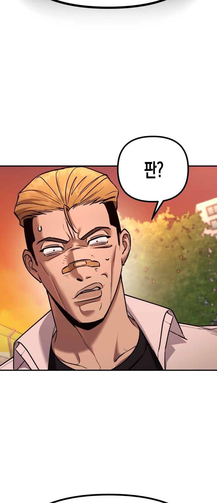 210 페이지