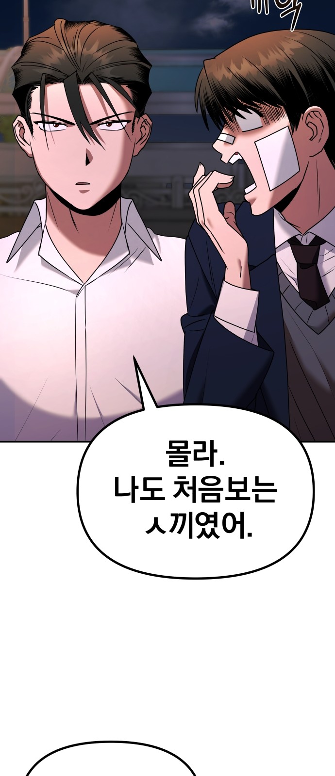 116 페이지
