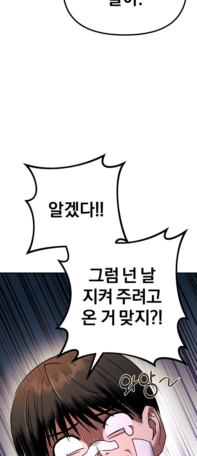 141 페이지