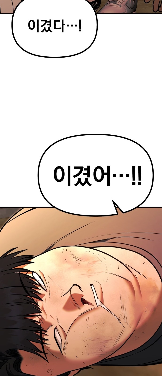 110 페이지