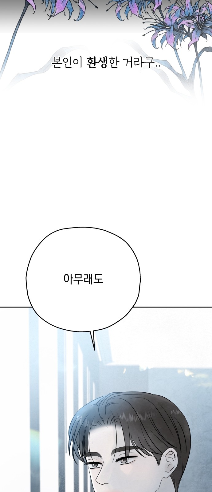 116 페이지