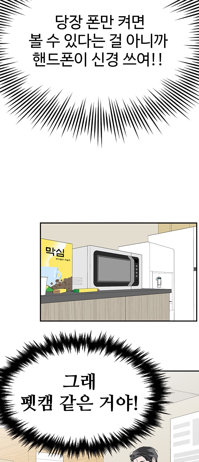 50 페이지