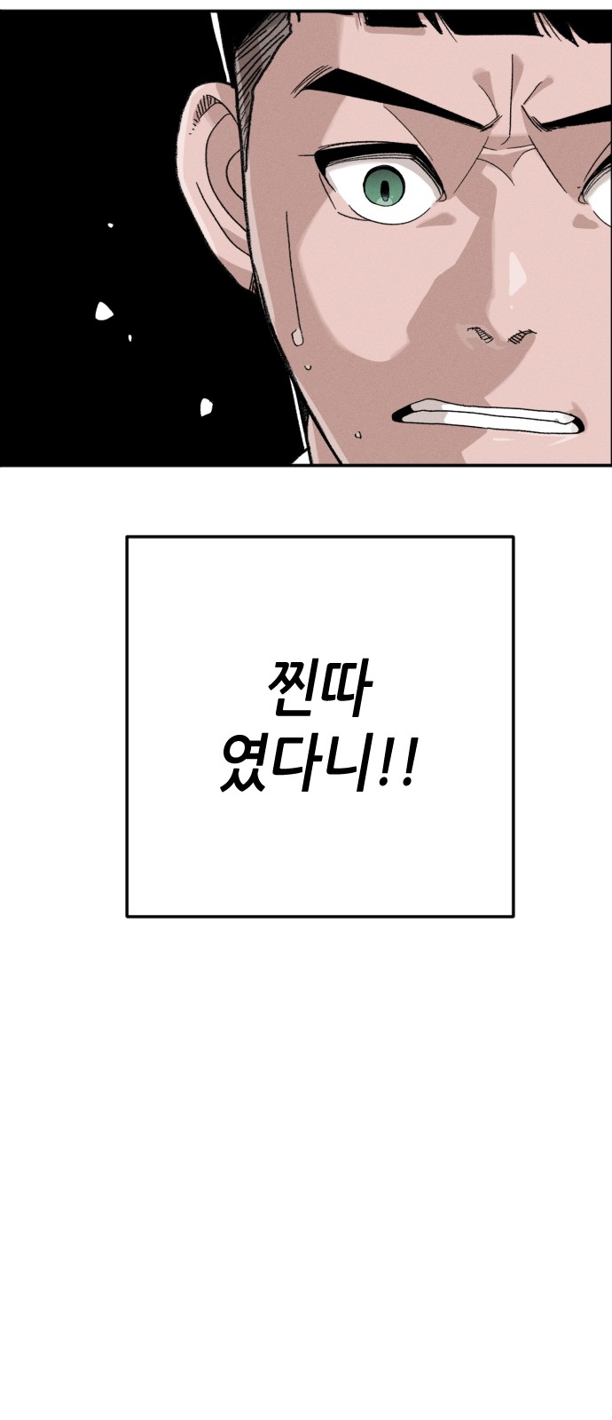 222 페이지