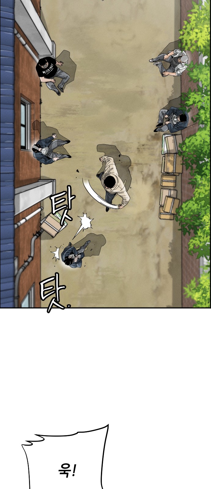 46 페이지