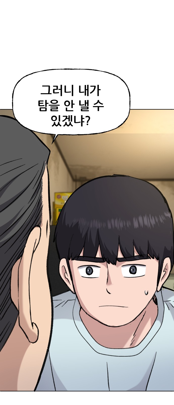 33 페이지