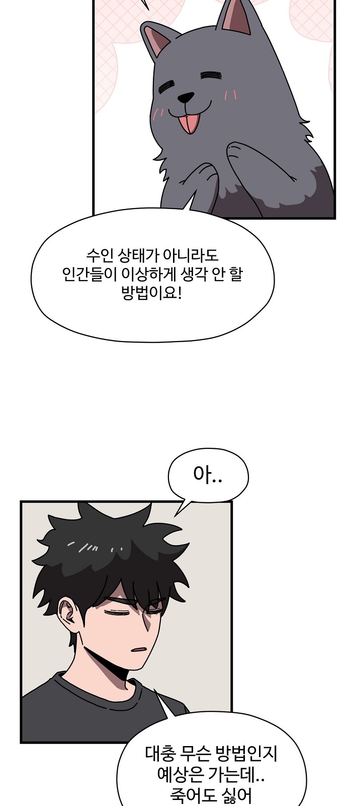 44 페이지