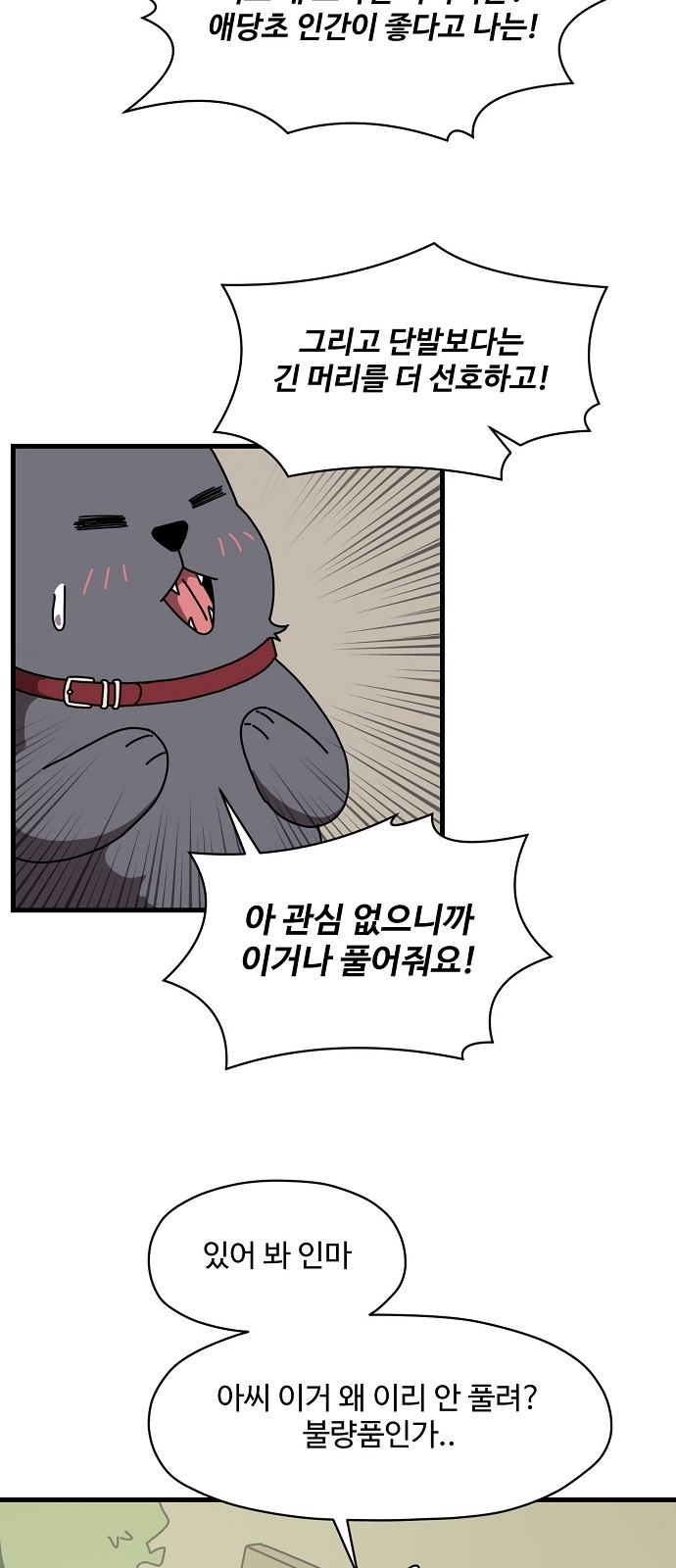 50 페이지