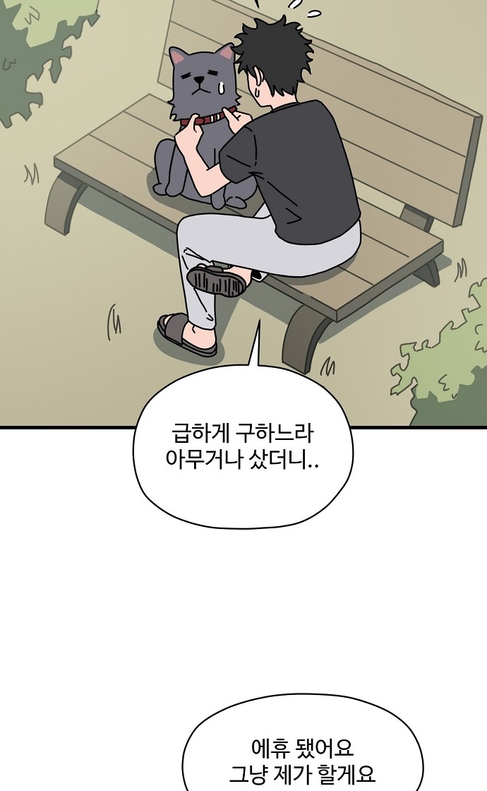 51 페이지