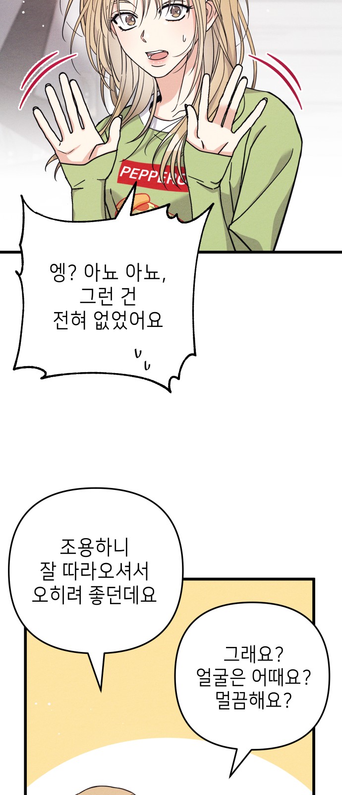 29 페이지