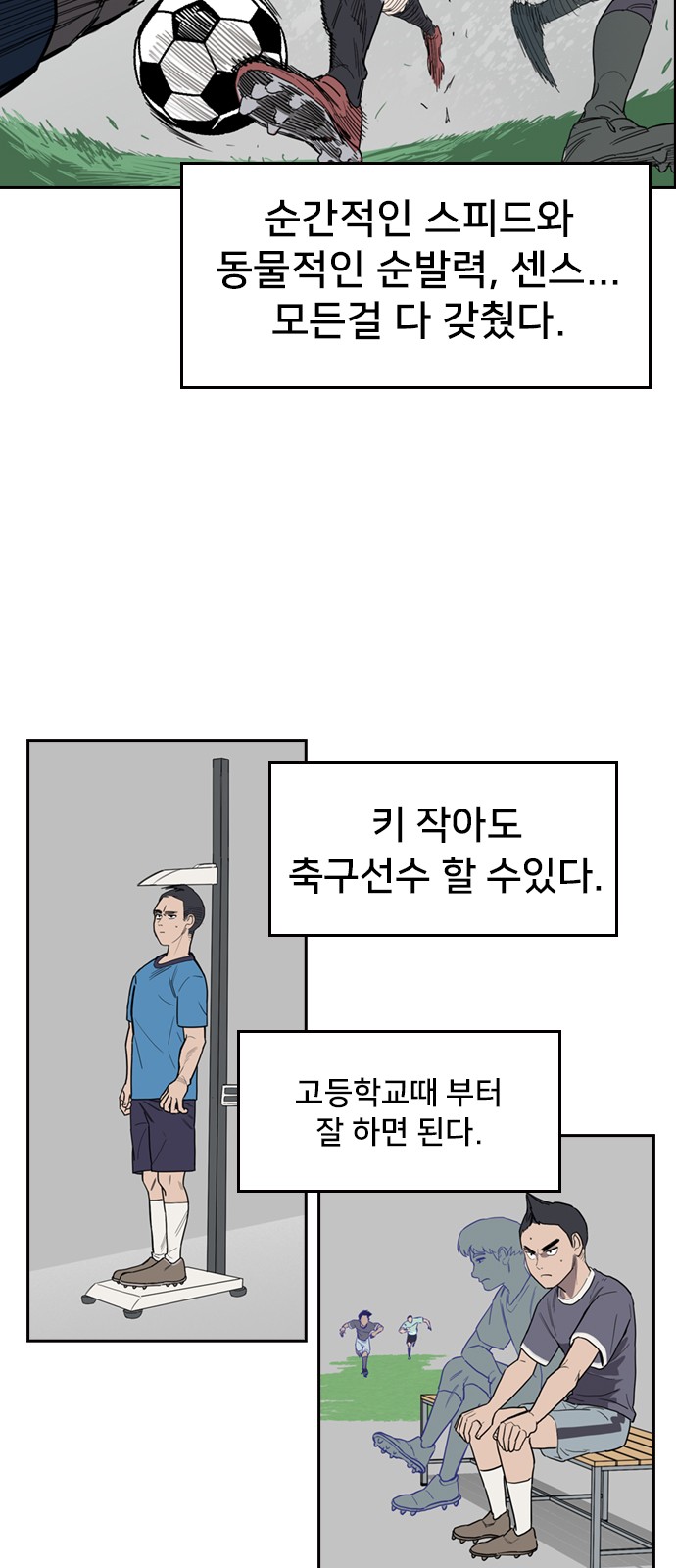31 페이지