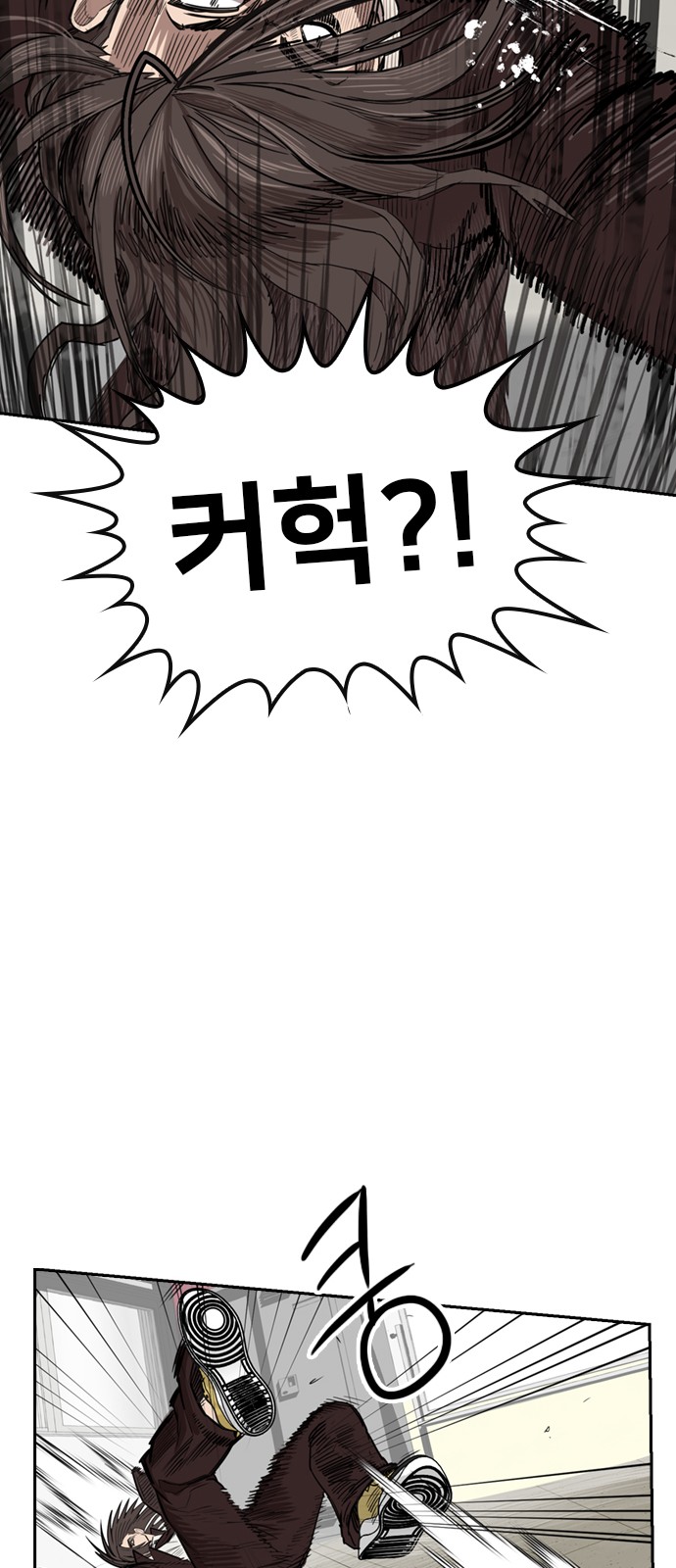 66 페이지