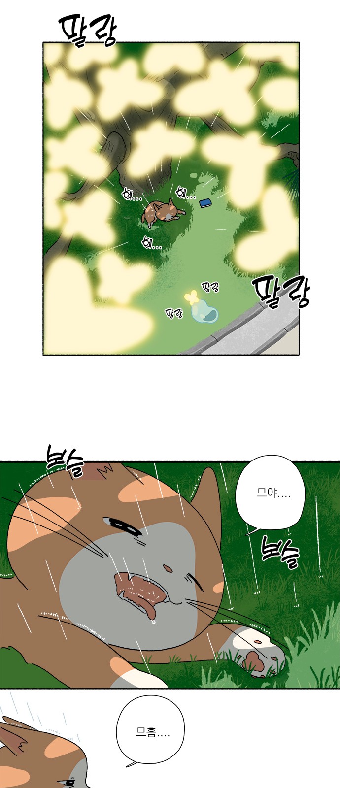 11 페이지