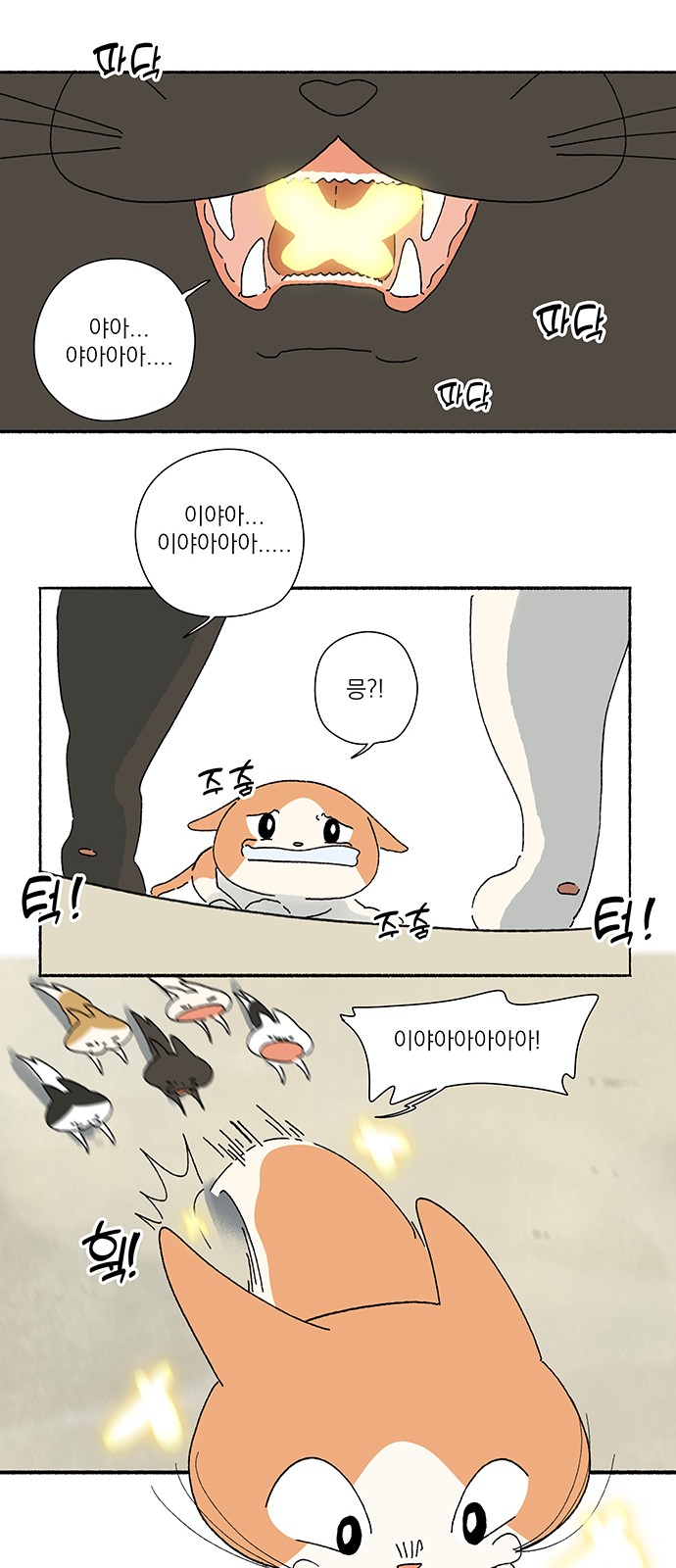 41 페이지
