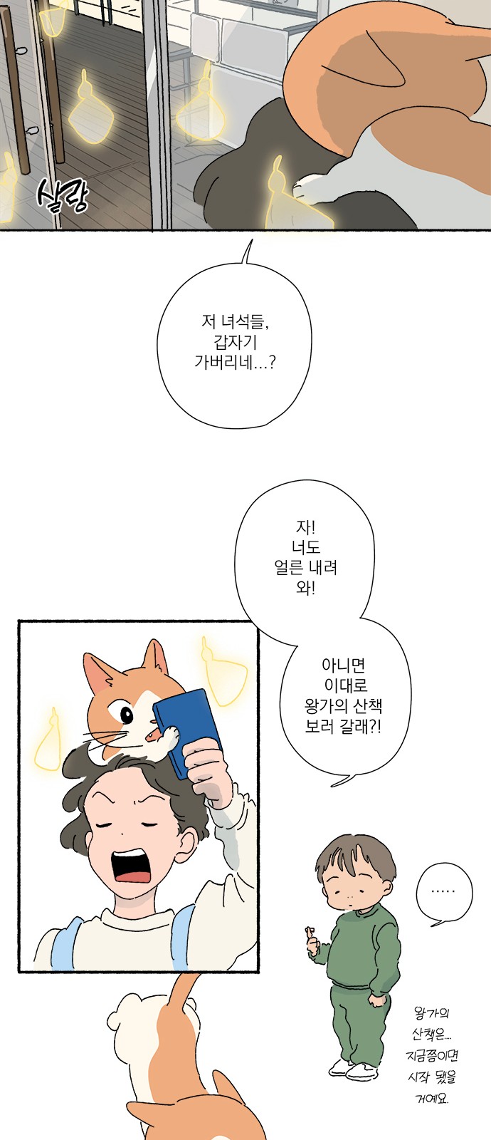 51 페이지