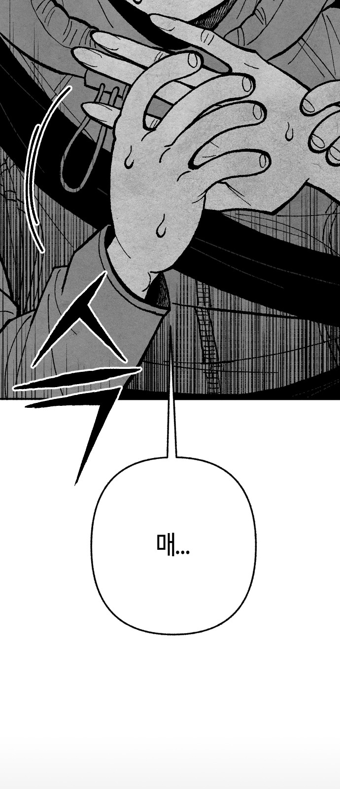 162 페이지
