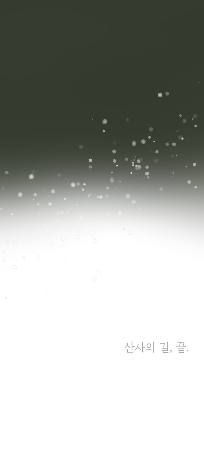 113 페이지