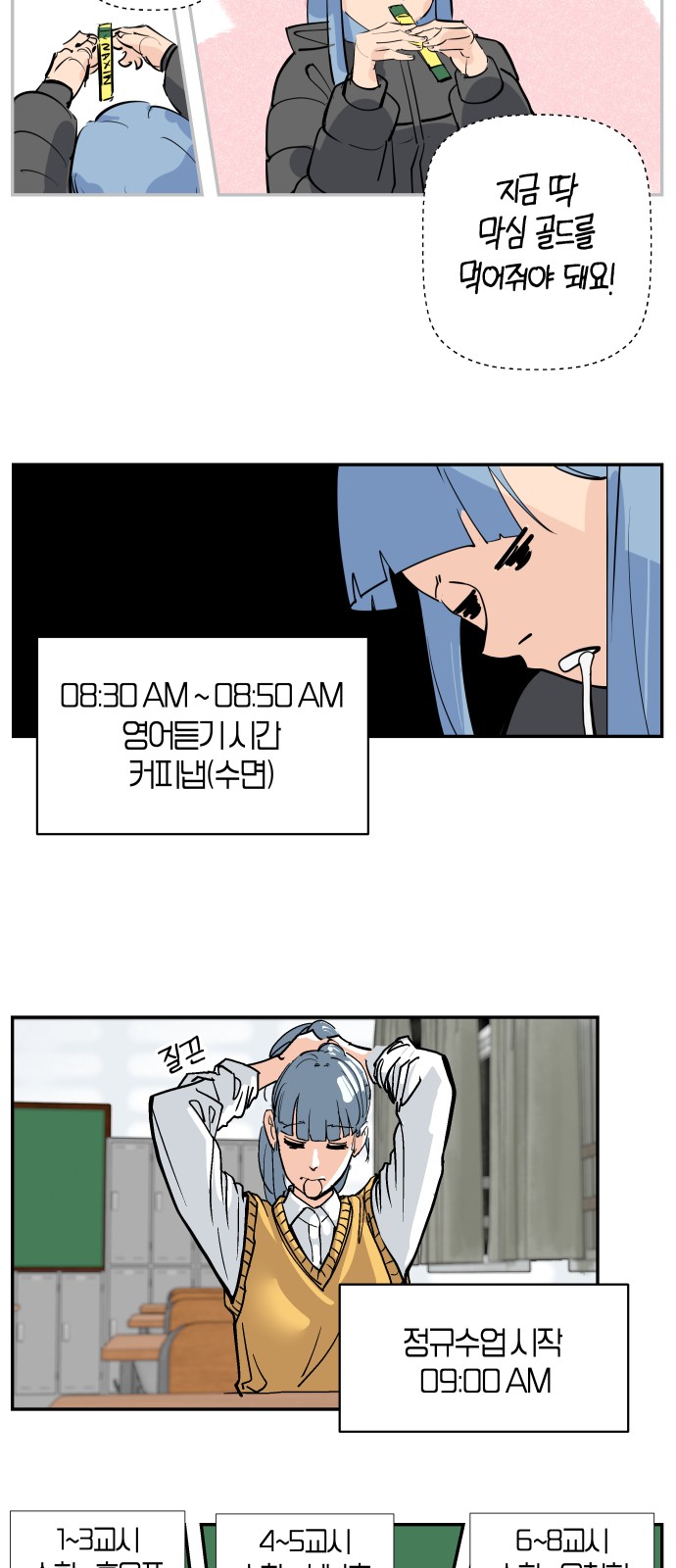 13 페이지