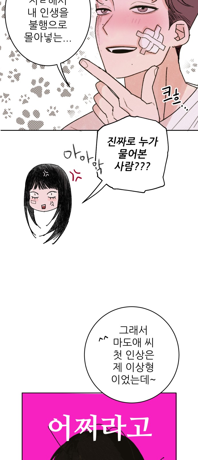 51 페이지
