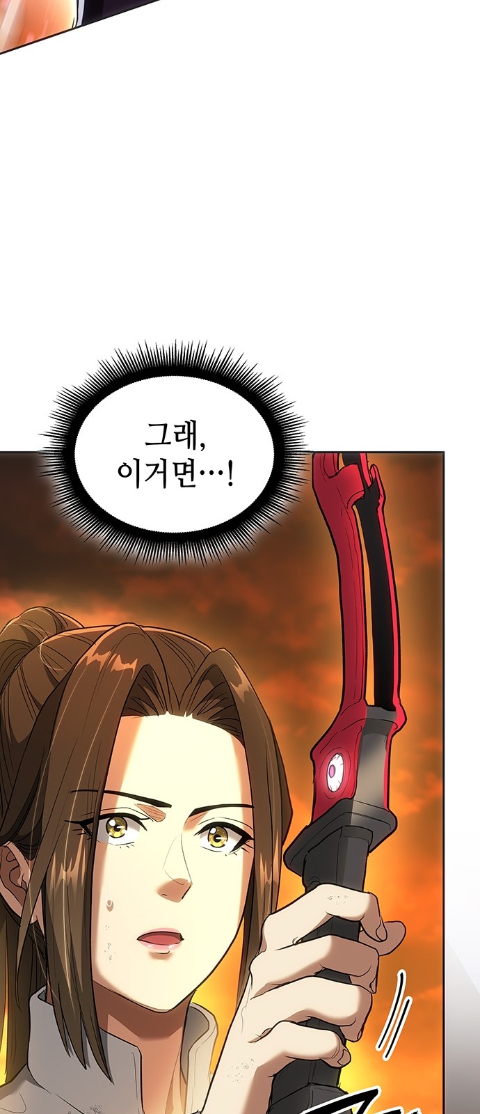 113 페이지