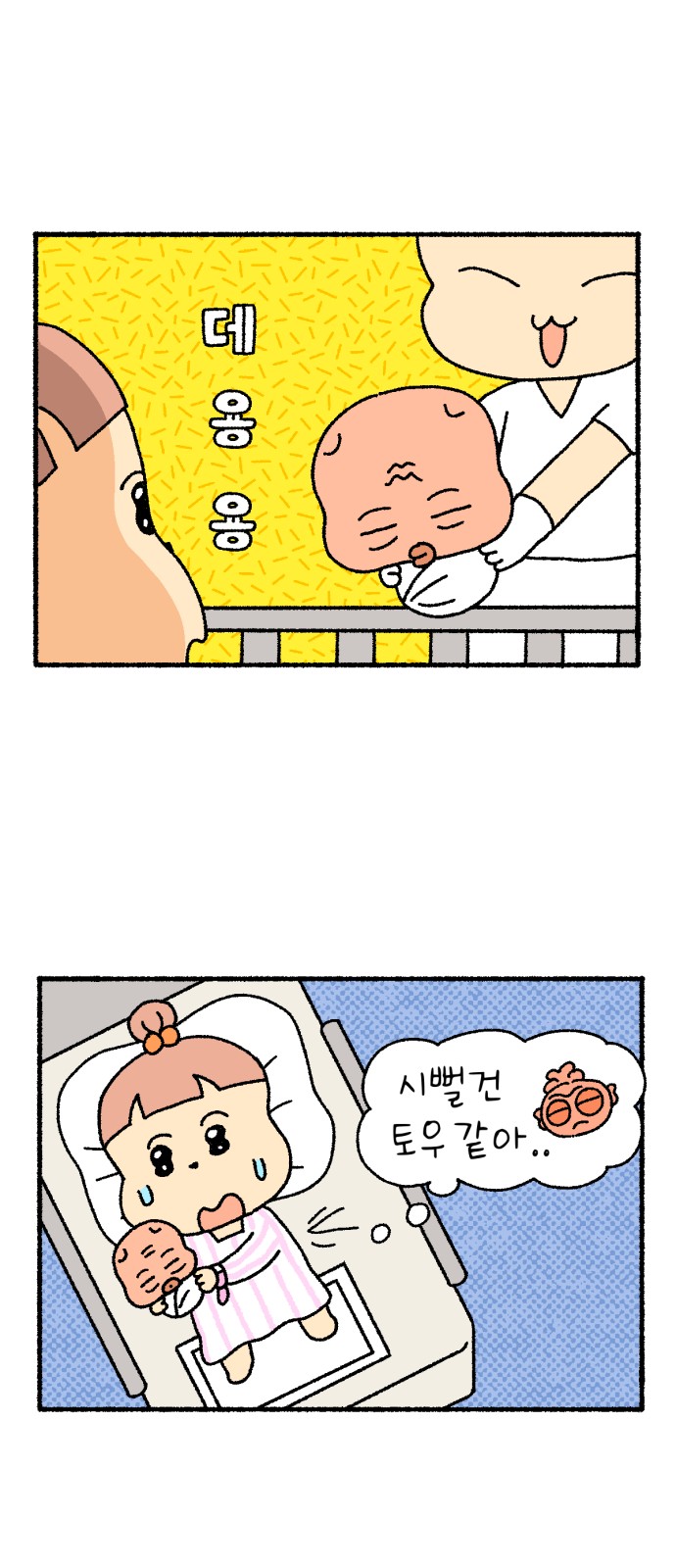 13 페이지
