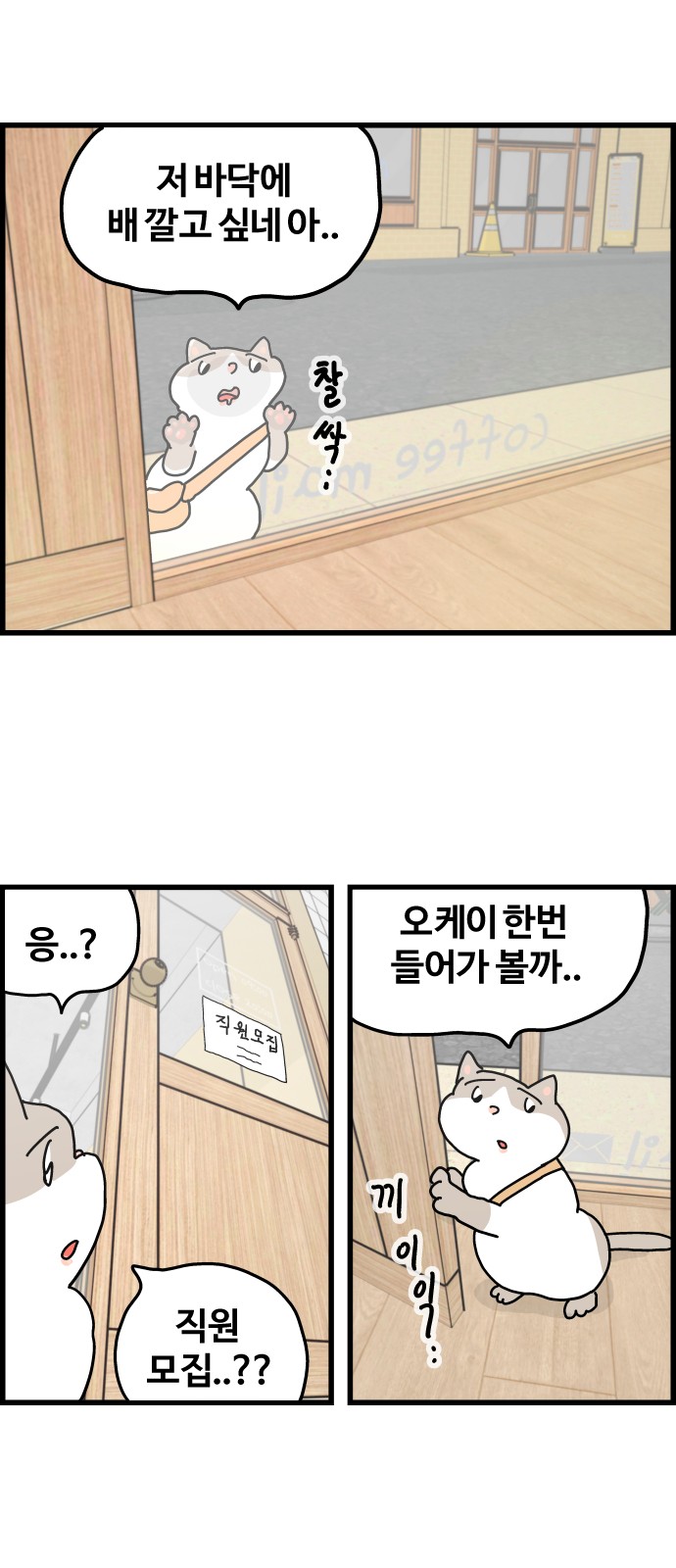 11 페이지