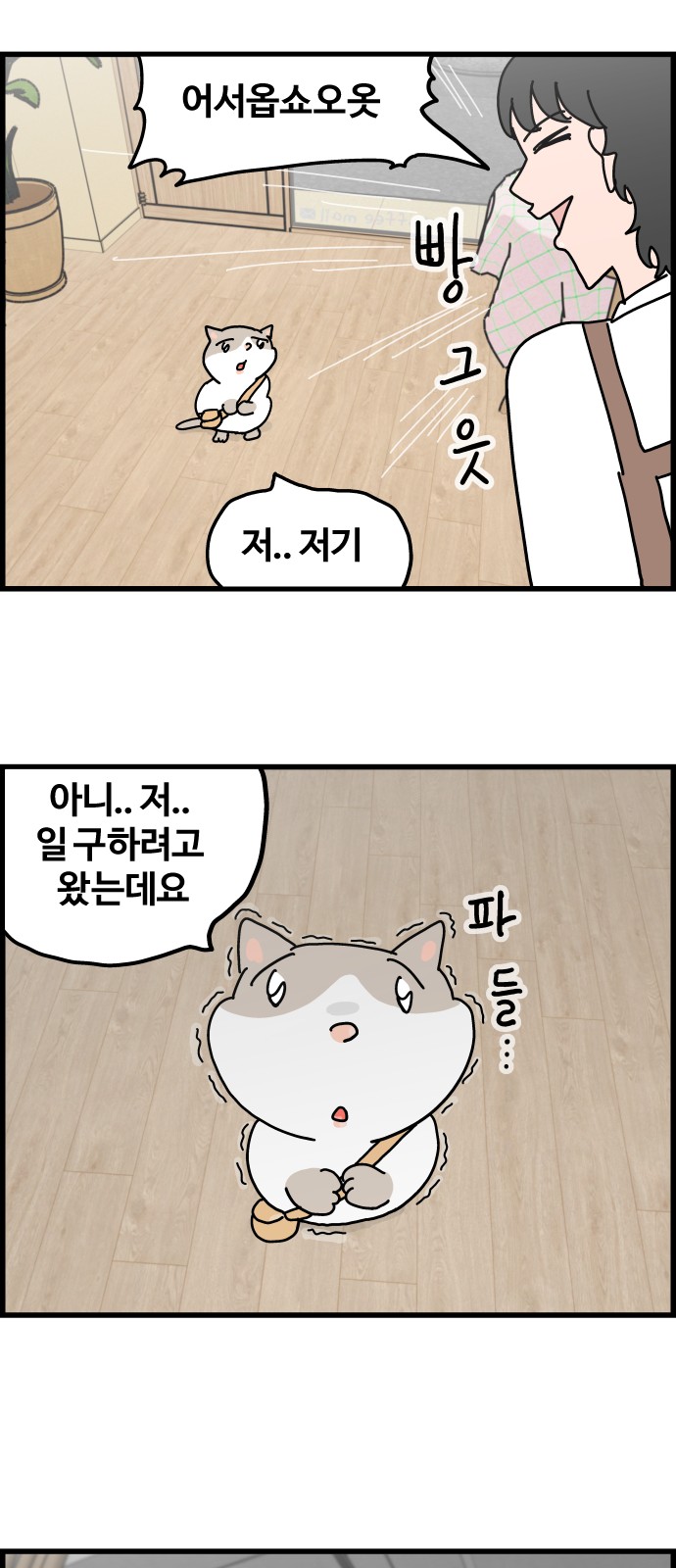 12 페이지