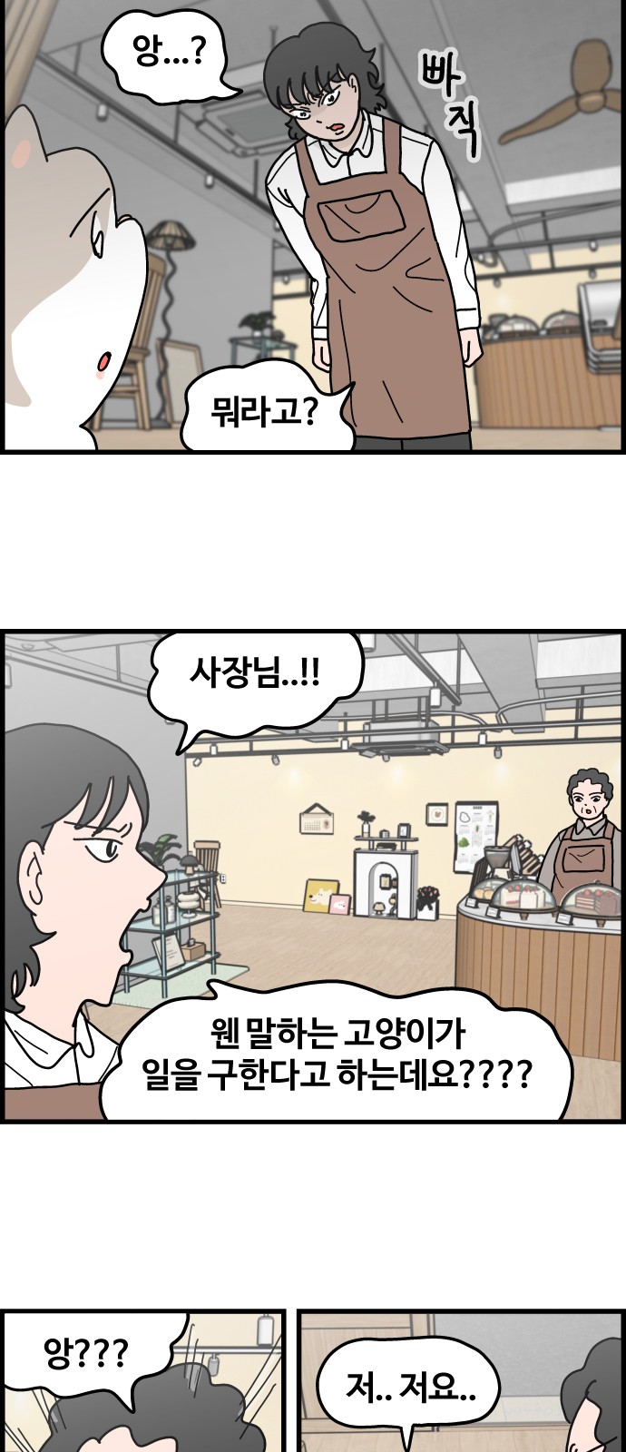 13 페이지