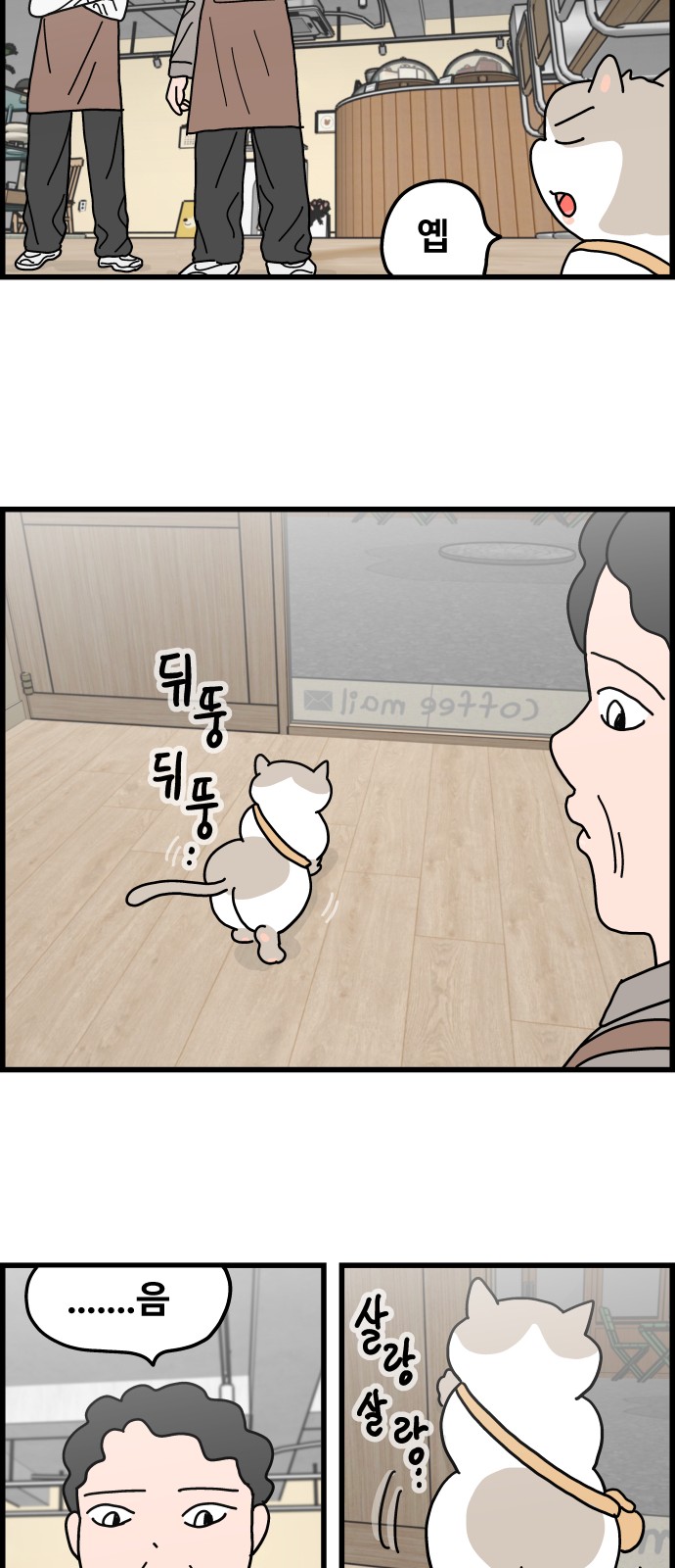 15 페이지