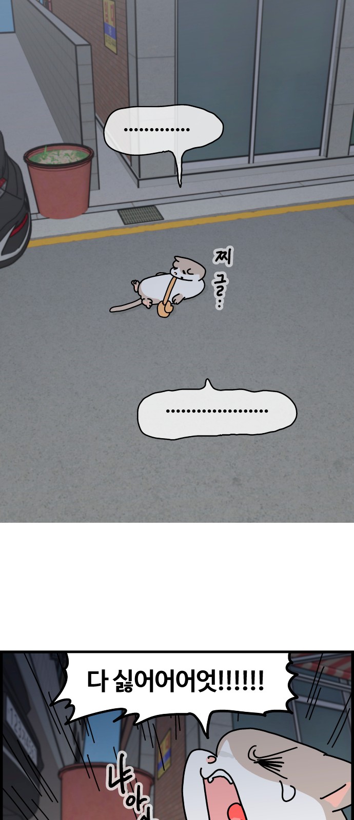 8 페이지