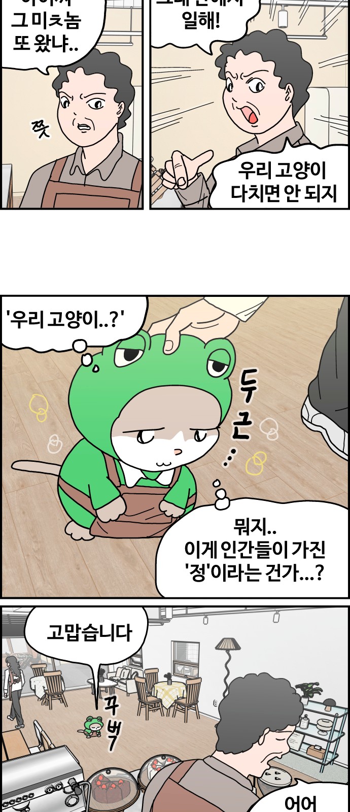 13 페이지